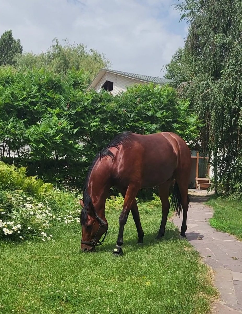 VideoCapture_20230621-113725.jpg