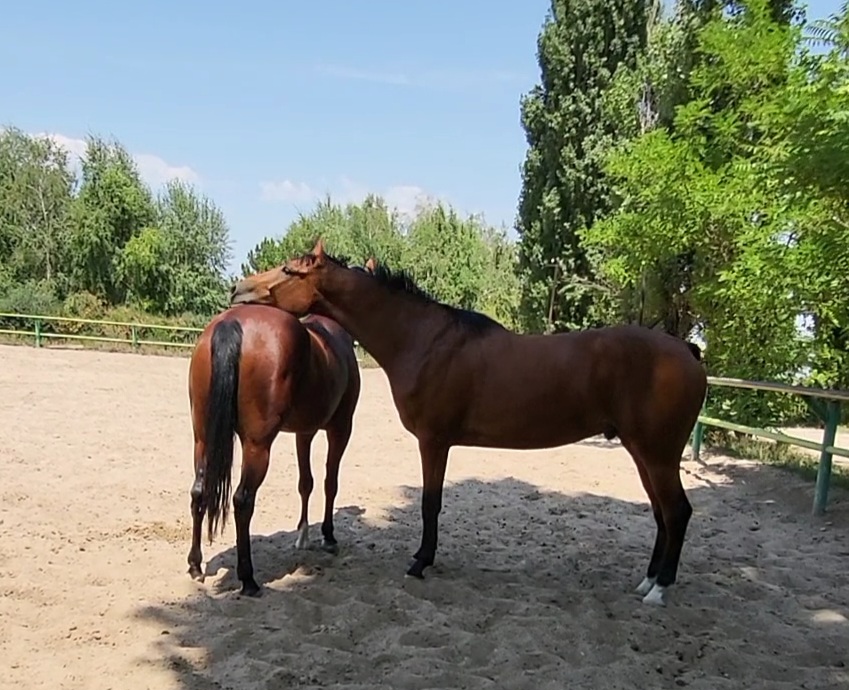 VideoCapture_20230730-131752.jpg