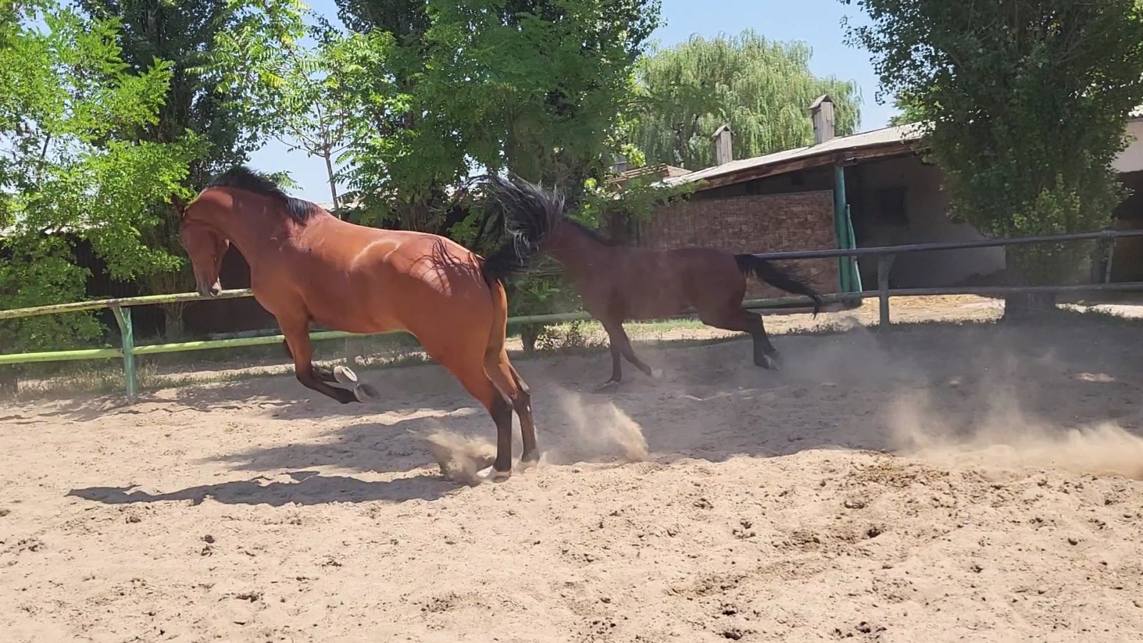 VideoCapture_20230730-131943.jpg