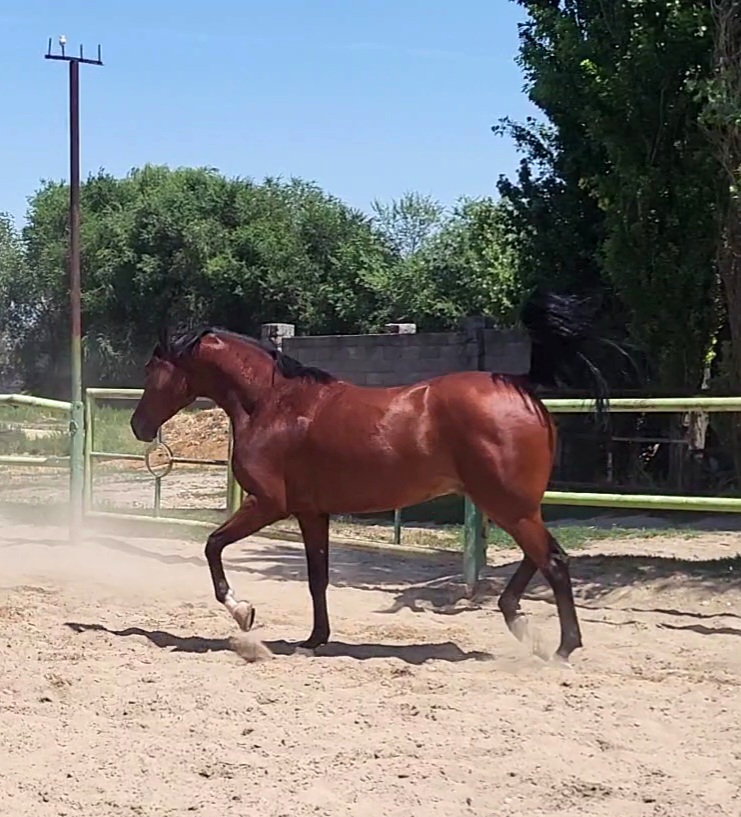 VideoCapture_20230730-132209.jpg