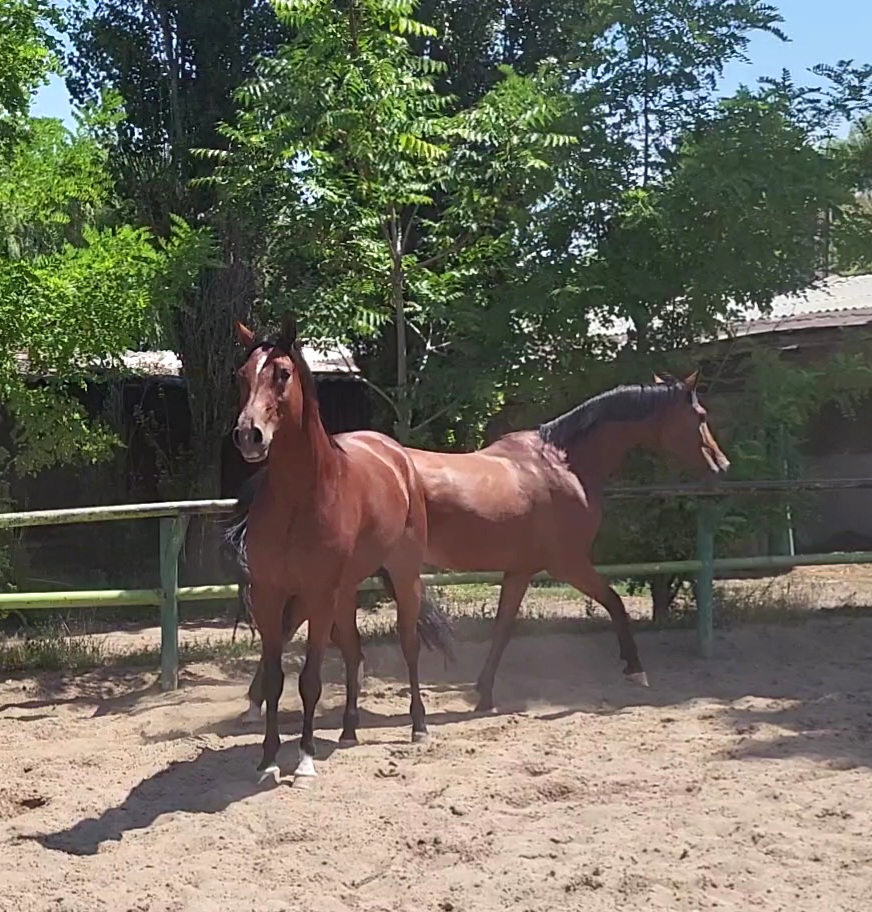 VideoCapture_20230730-132352.jpg