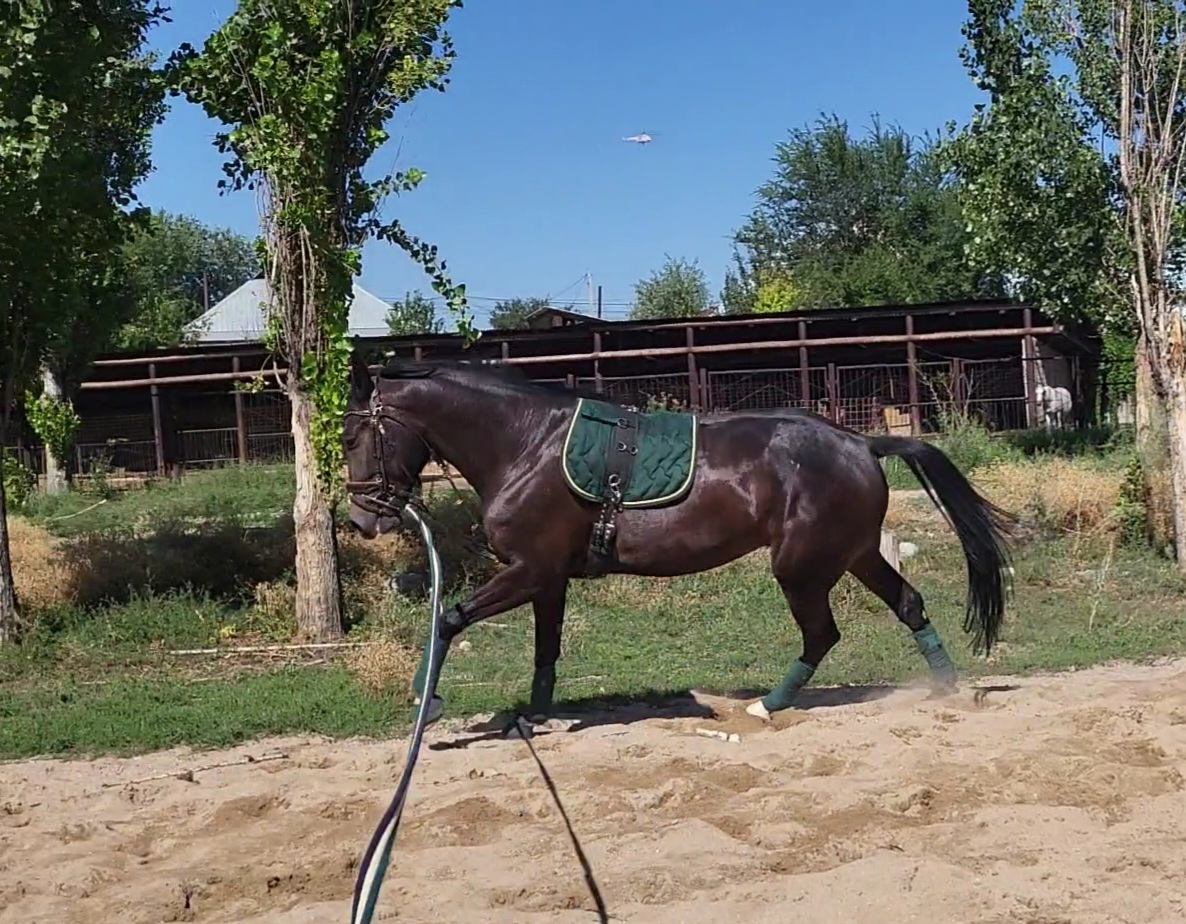 VideoCapture_20230817-112635.jpg