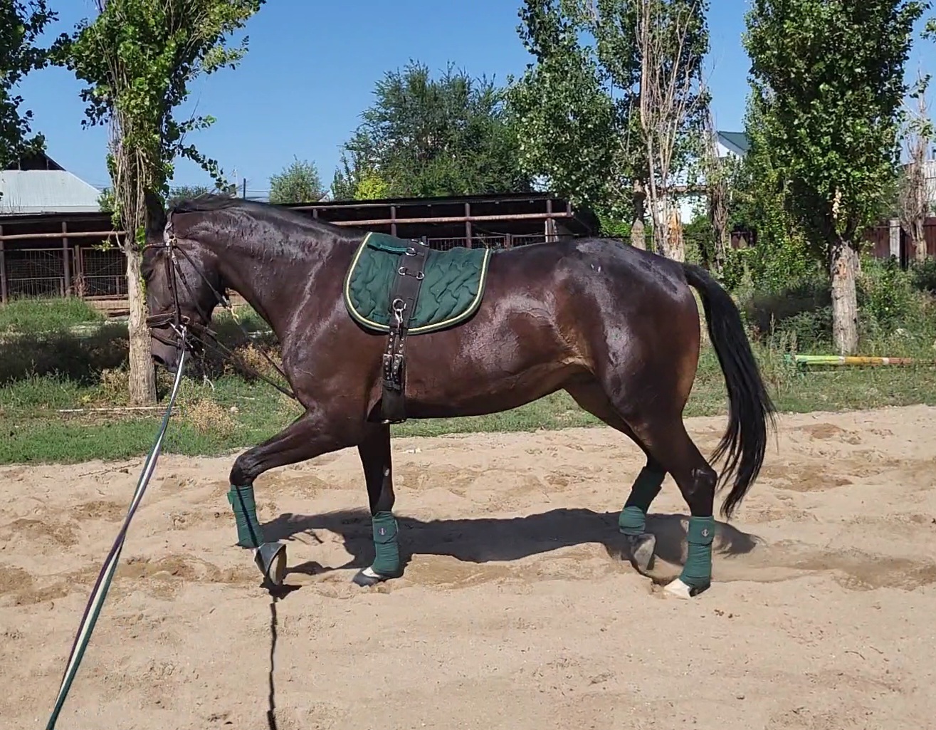 VideoCapture_20230817-112832.jpg