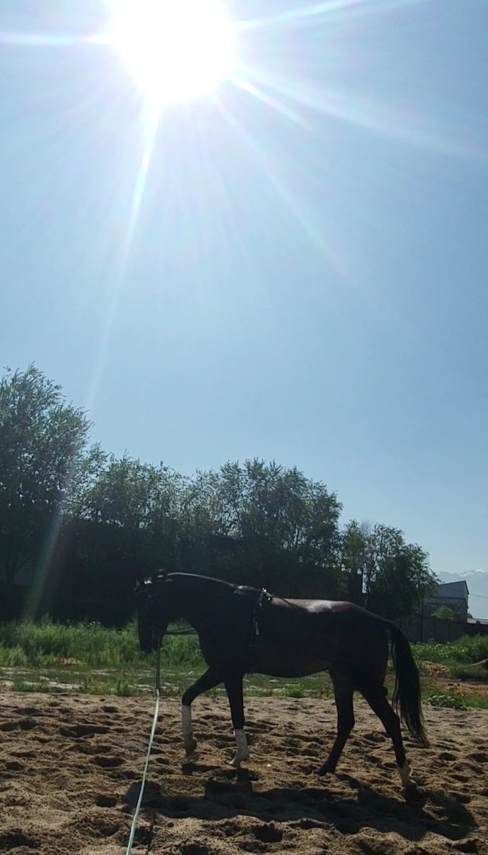 VideoCapture_20230901-002303.jpg