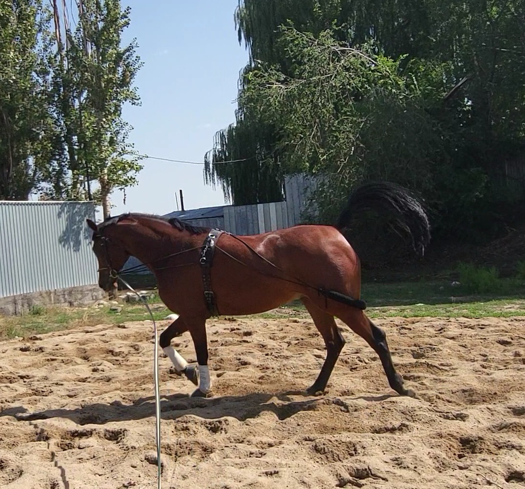 VideoCapture_20230901-152011.jpg