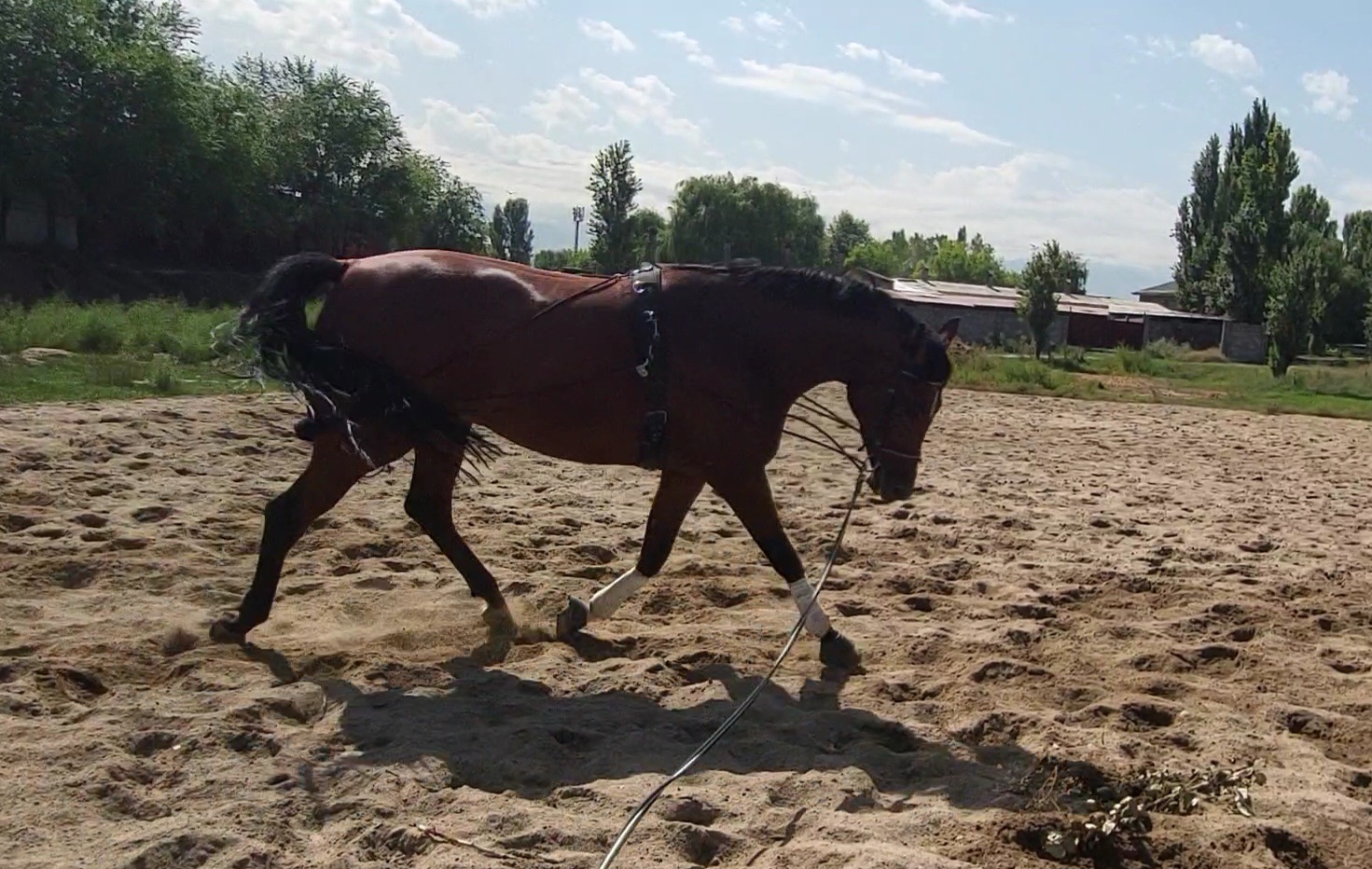 VideoCapture_20230901-152229.jpg