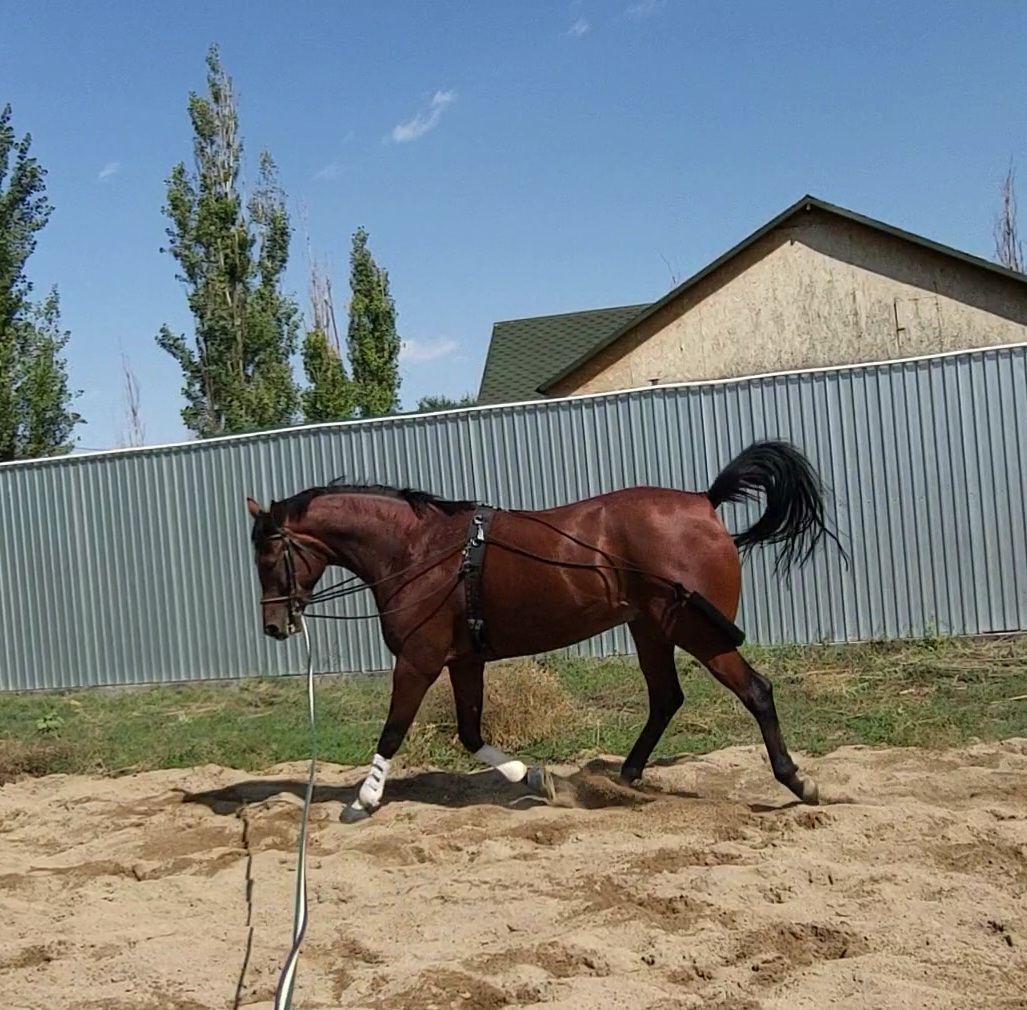 VideoCapture_20230901-152552.jpg