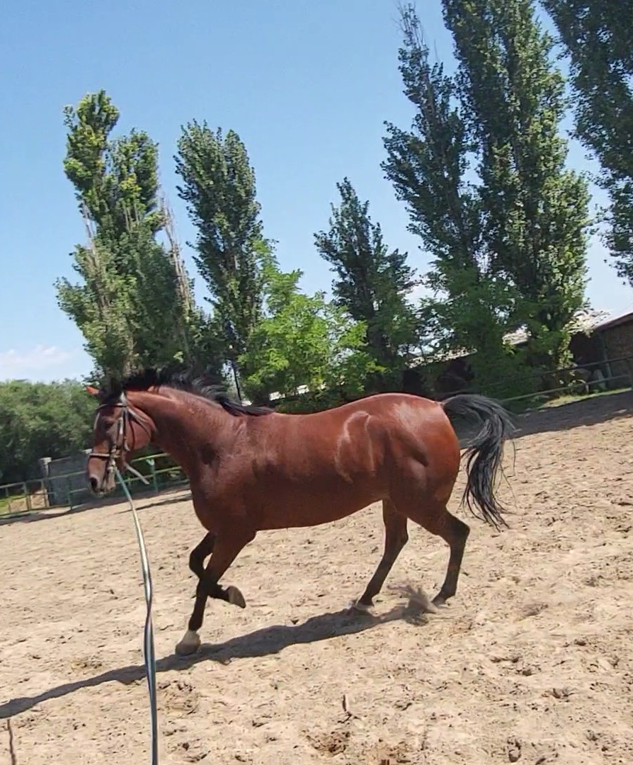 VideoCapture_20230905-122526.jpg