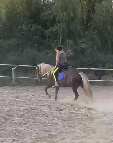 VideoCapture_20230905-184918.jpg