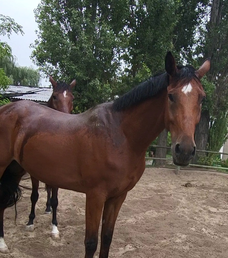 VideoCapture_20230915-151801.jpg