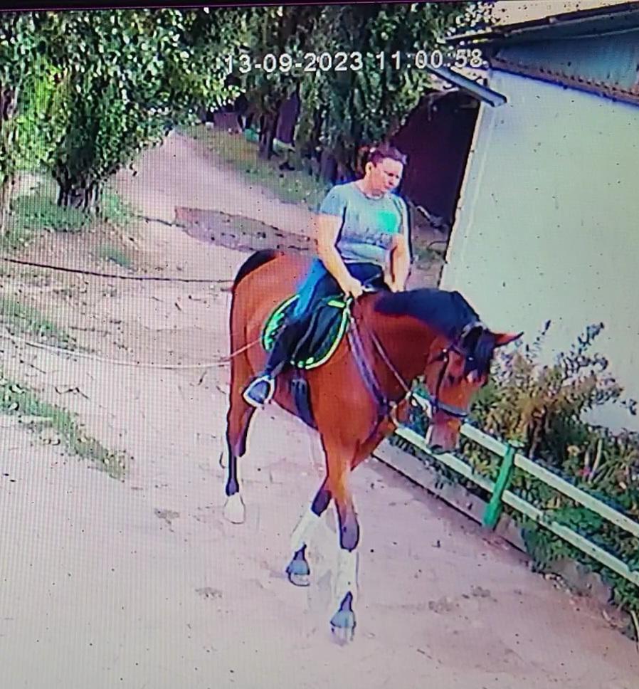 VideoCapture_20230920-141000.jpg