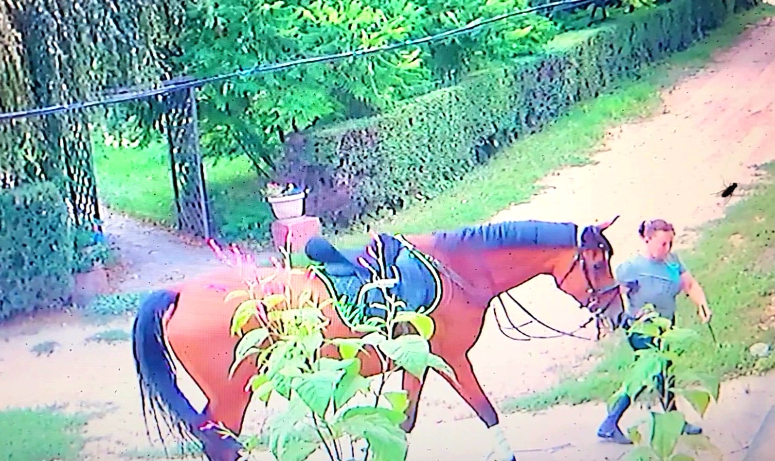 VideoCapture_20230920-141245.jpg