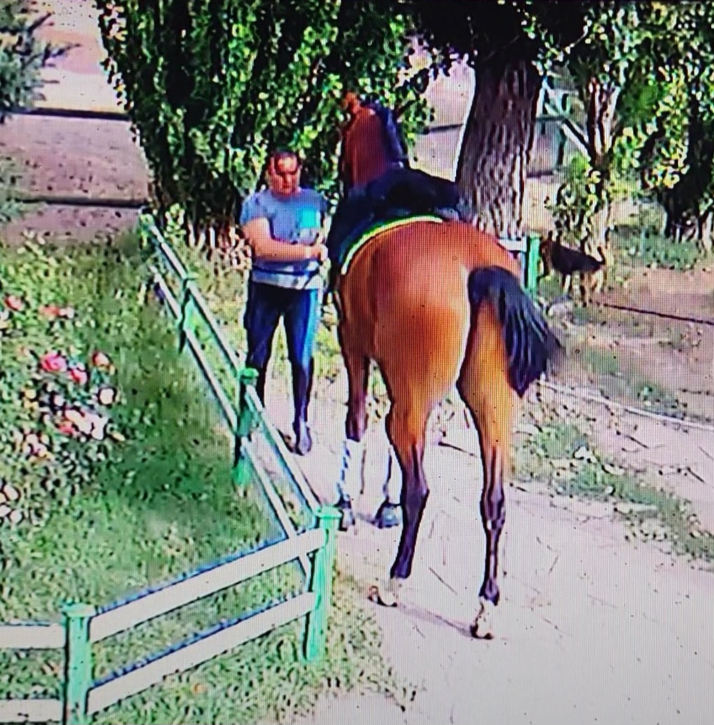 VideoCapture_20230920-141346.jpg
