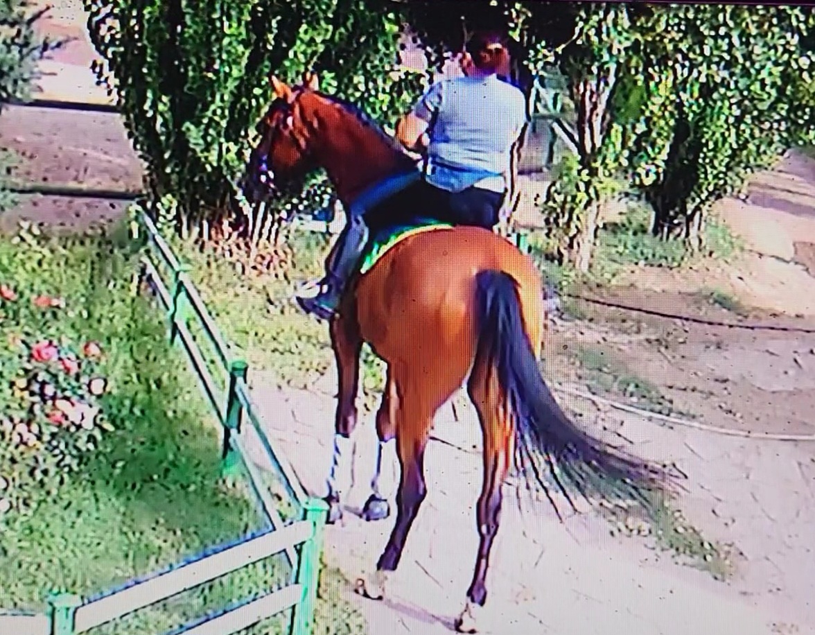 VideoCapture_20230920-141439.jpg