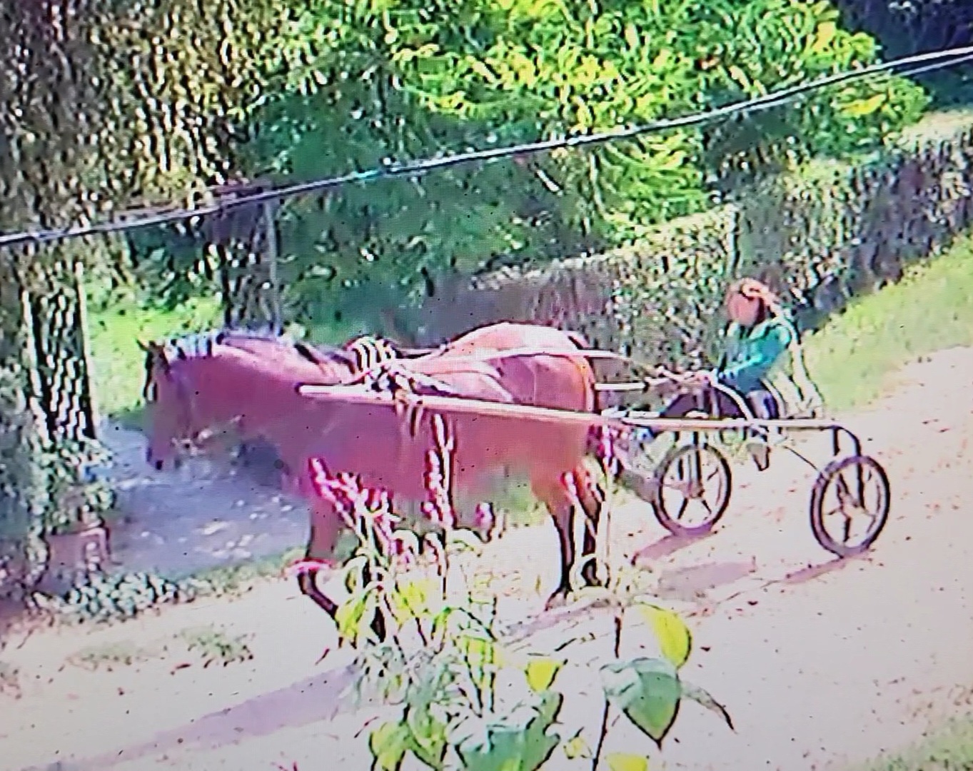 VideoCapture_20230920-142021.jpg