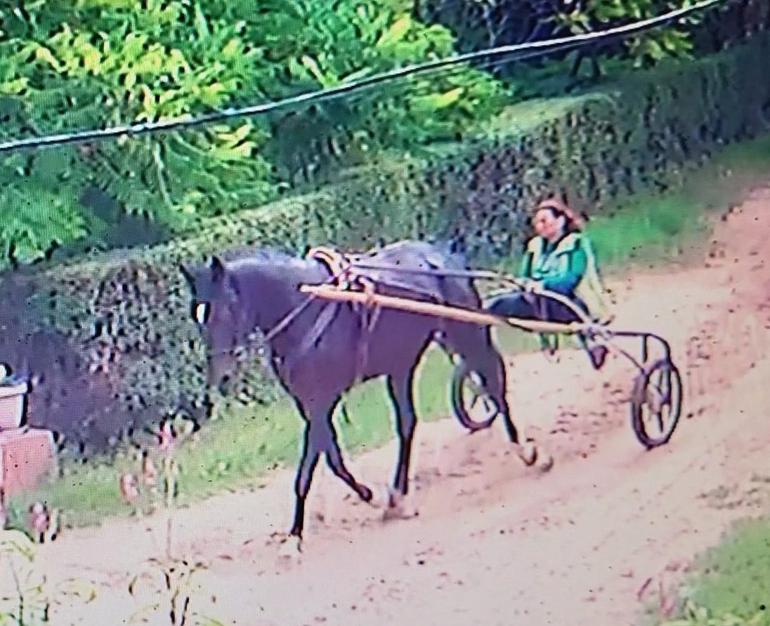 VideoCapture_20230920-142140.jpg