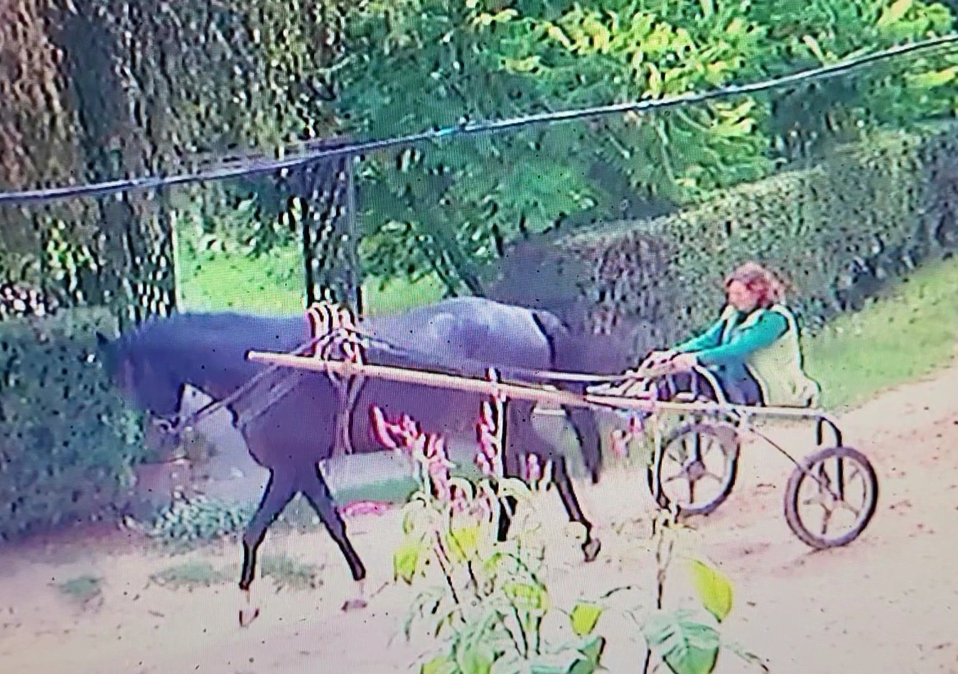 VideoCapture_20230920-142218.jpg