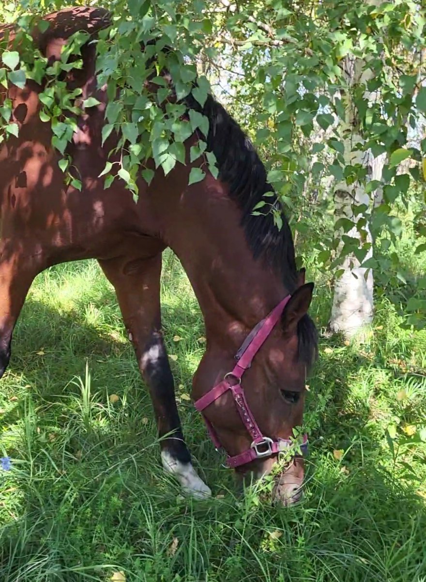 VideoCapture_20230926-122301.jpg