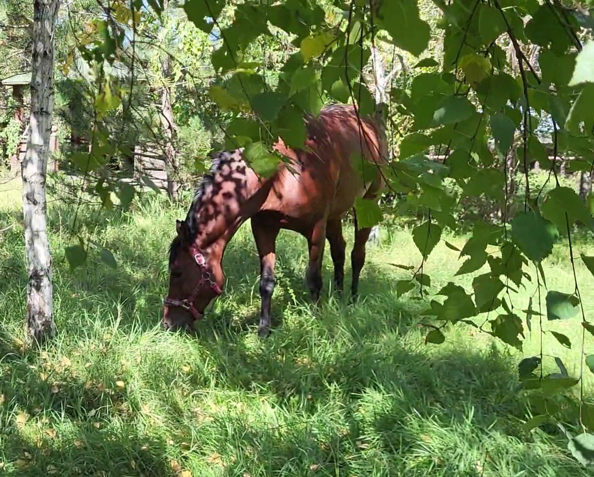 VideoCapture_20230926-122434.jpg