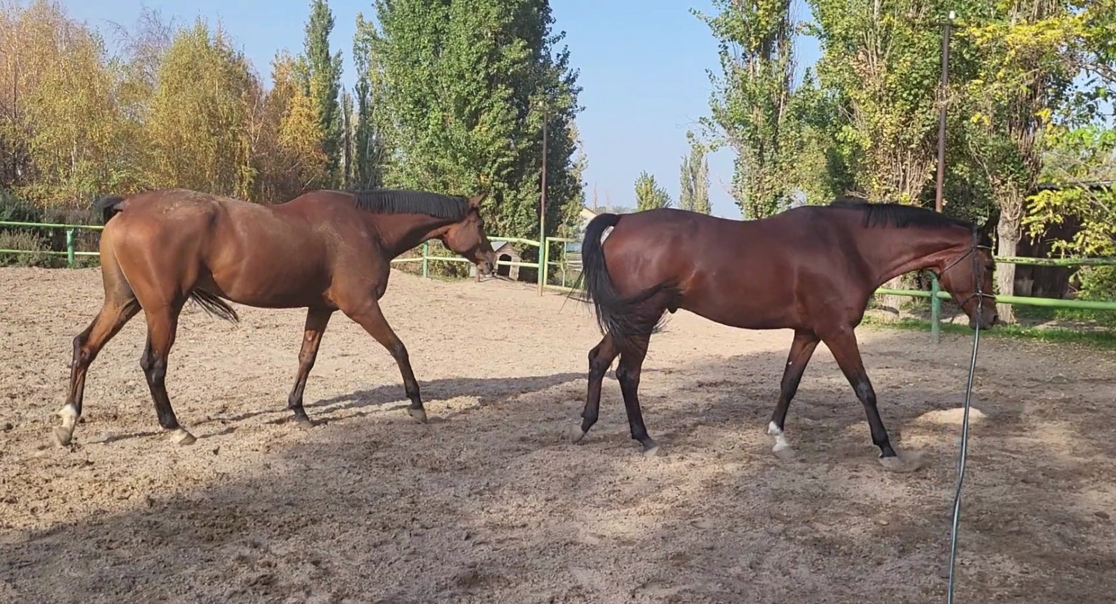 VideoCapture_20231021-152230.jpg