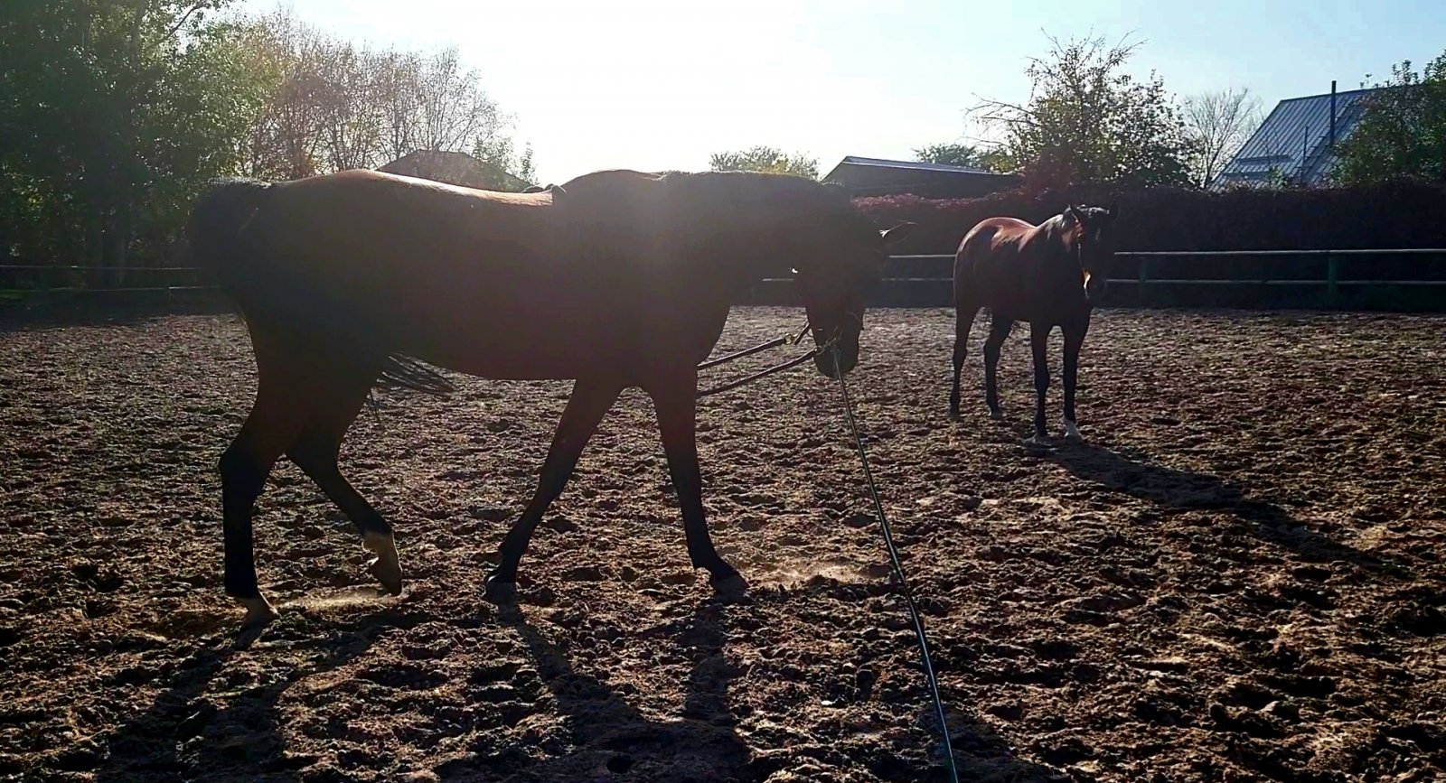 VideoCapture_20231022-074737.jpg
