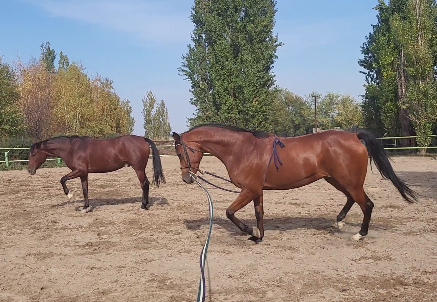 VideoCapture_20231022-075158.jpg