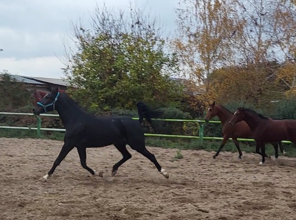 VideoCapture_20231023-101728.jpg