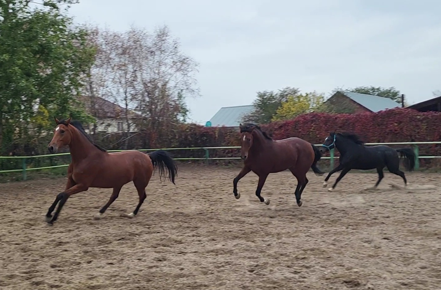 VideoCapture_20231023-101855.jpg