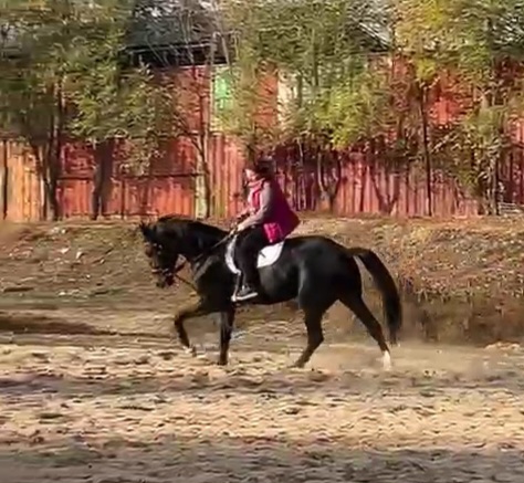 VideoCapture_20231023-135813.jpg