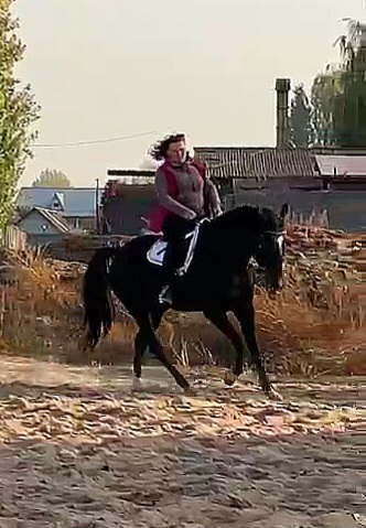 VideoCapture_20231023-135925.jpg