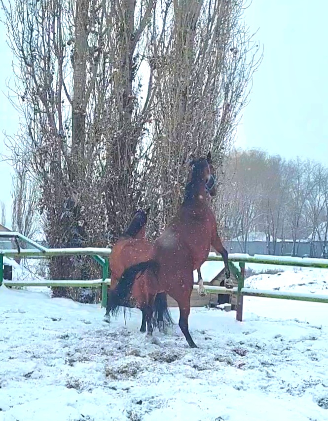 VideoCapture_20231210-134432.jpg