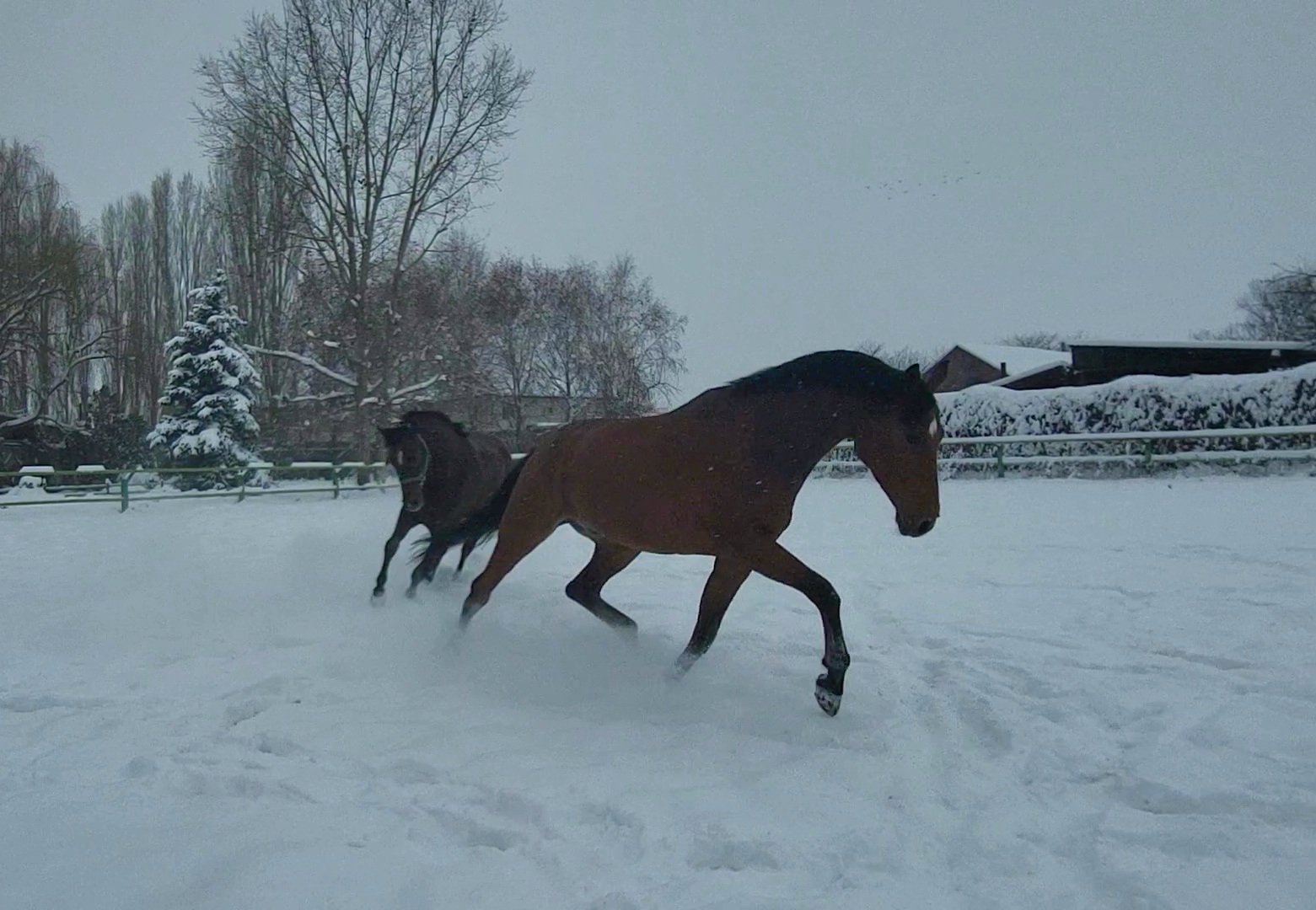 VideoCapture_20231212-105835.jpg