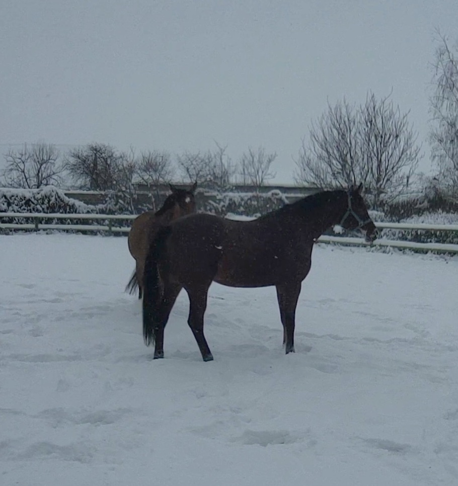 VideoCapture_20231212-110032.jpg