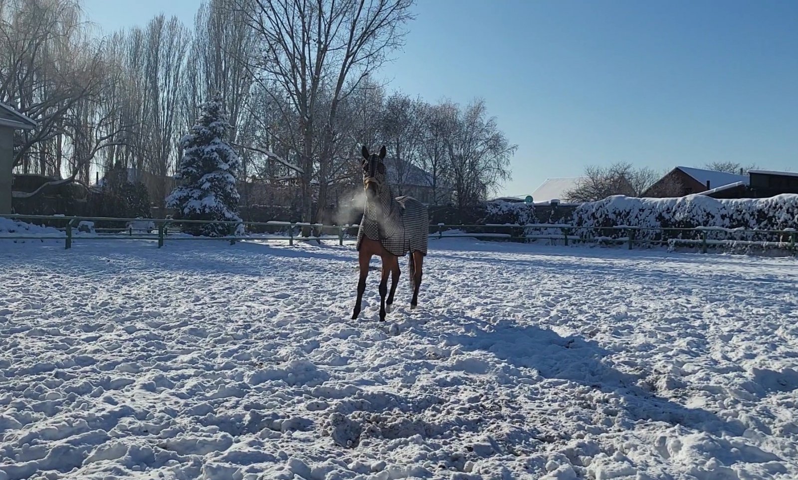 VideoCapture_20231214-132347.jpg