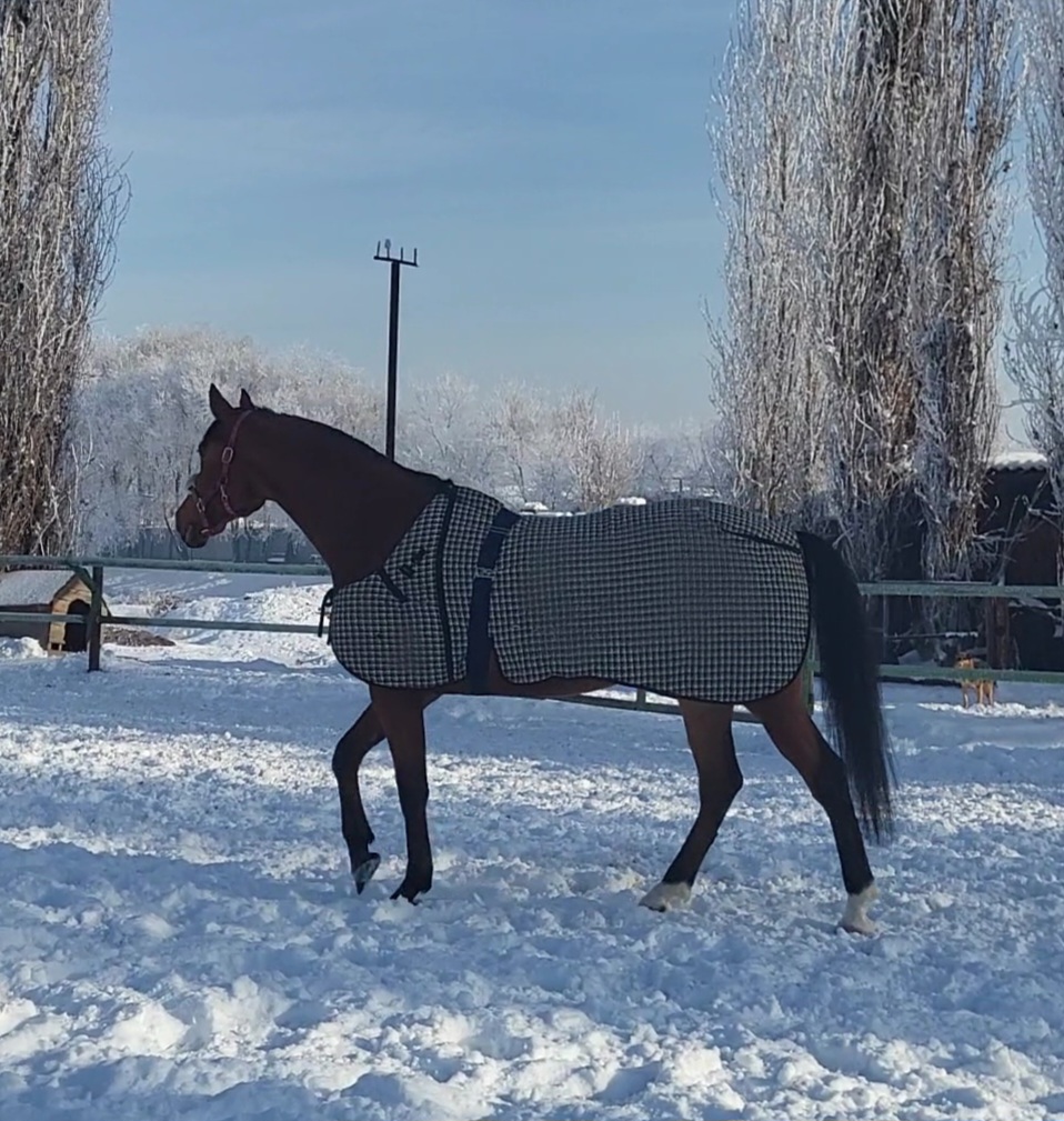 VideoCapture_20240119-145533.jpg