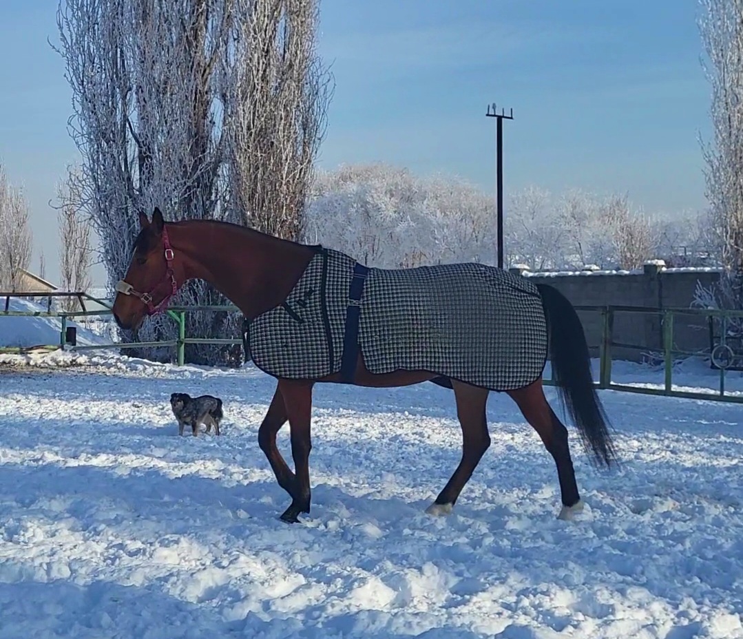 VideoCapture_20240119-145603.jpg
