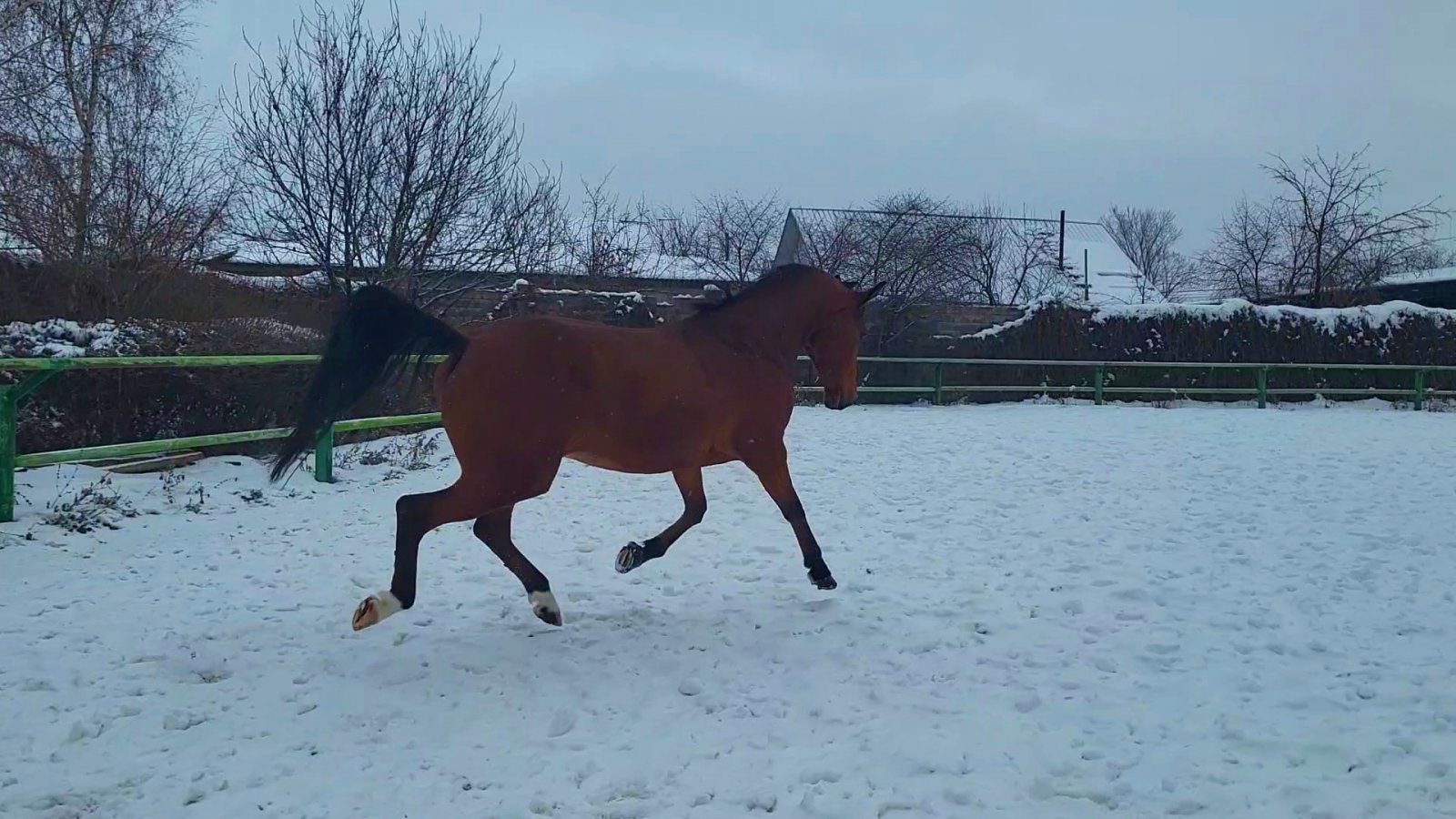 VideoCapture_20240126-114203.jpg