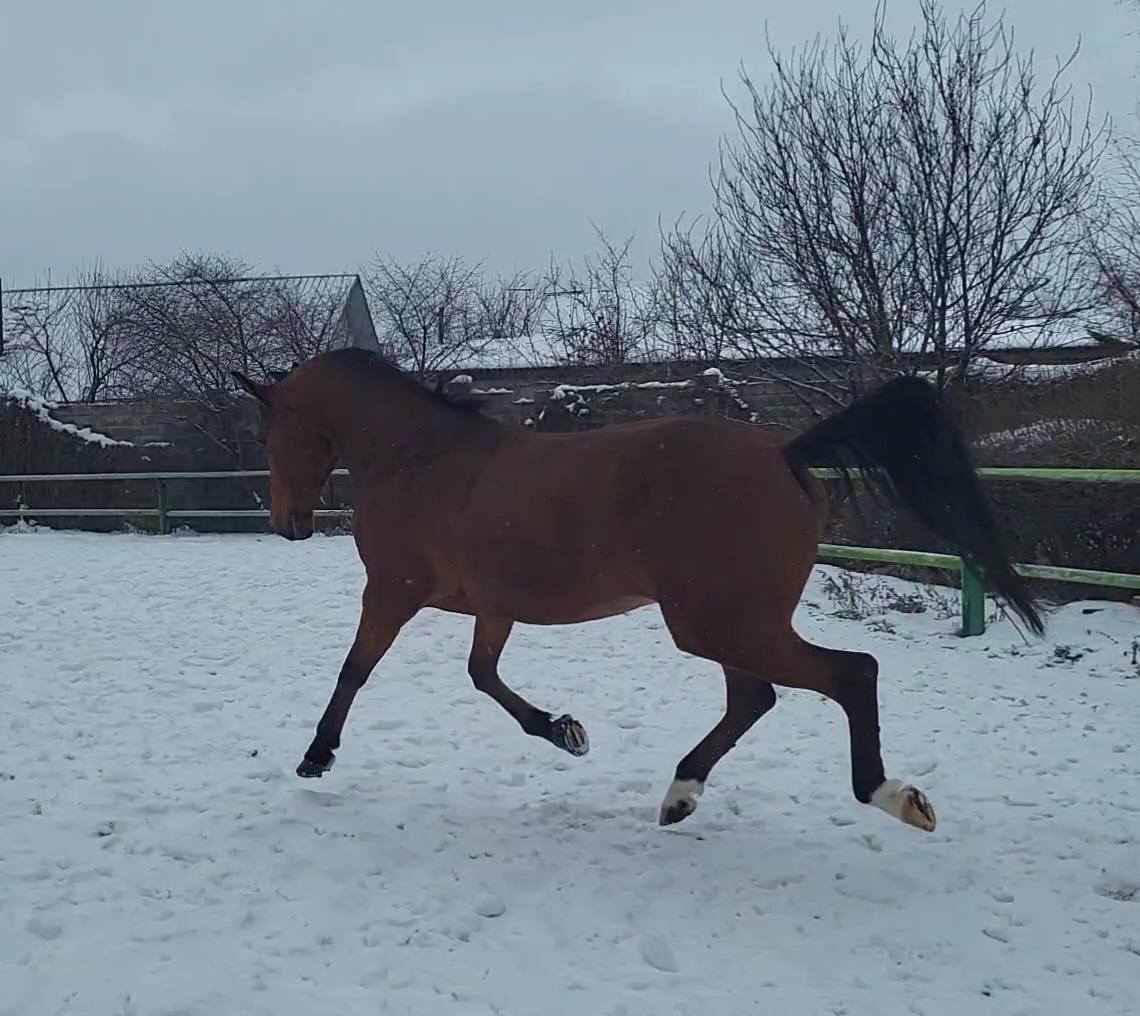 VideoCapture_20240126-114217.jpg