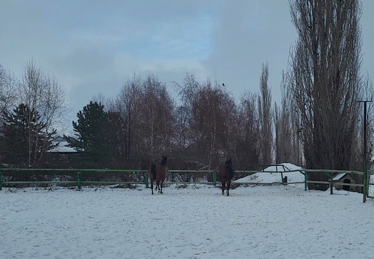 VideoCapture_20240126-114352.jpg