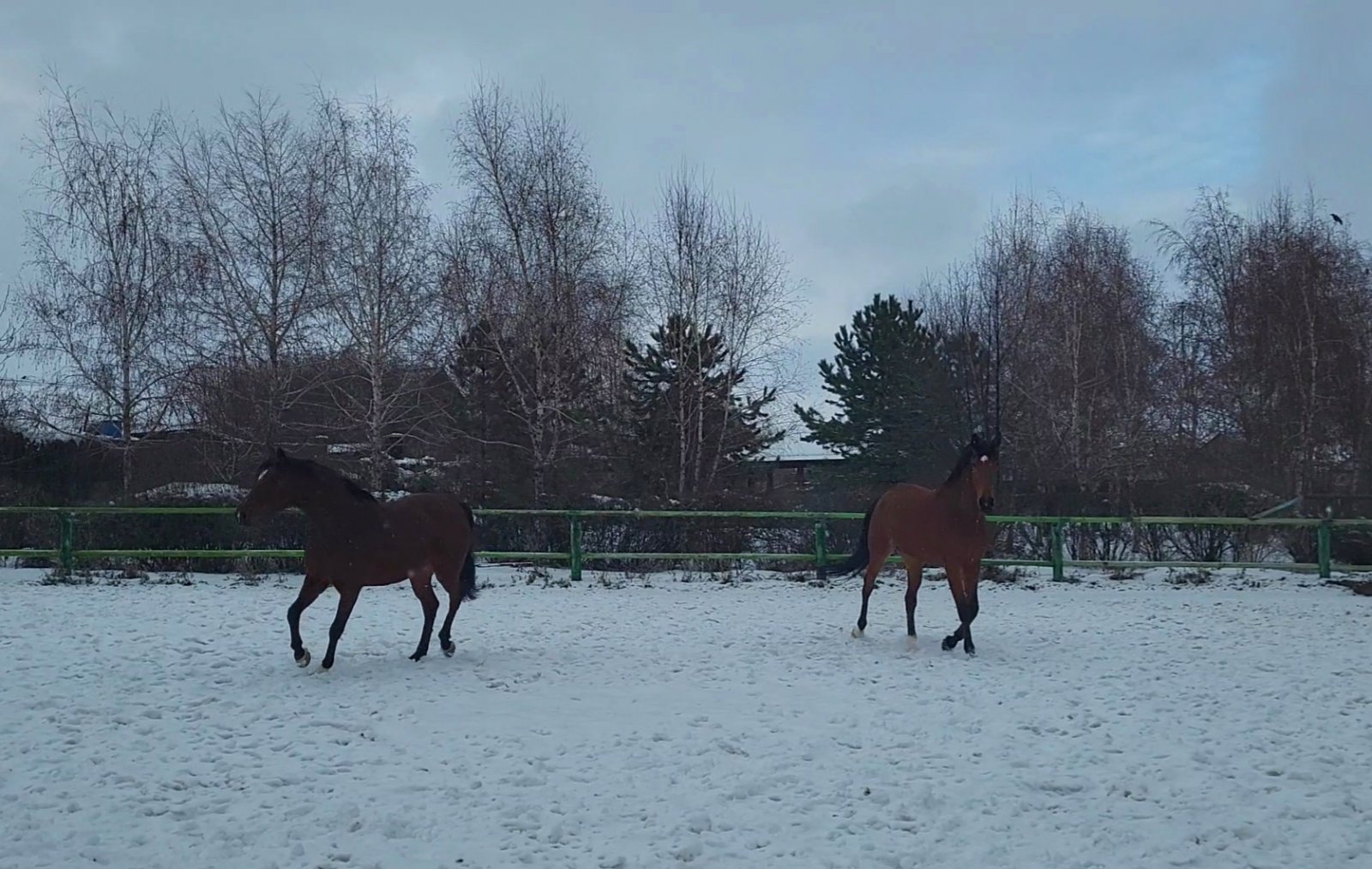 VideoCapture_20240126-114424.jpg