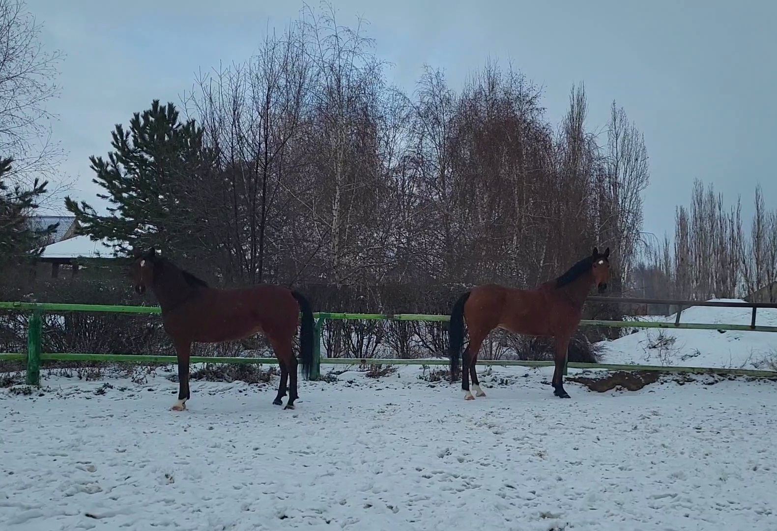 VideoCapture_20240126-114452.jpg