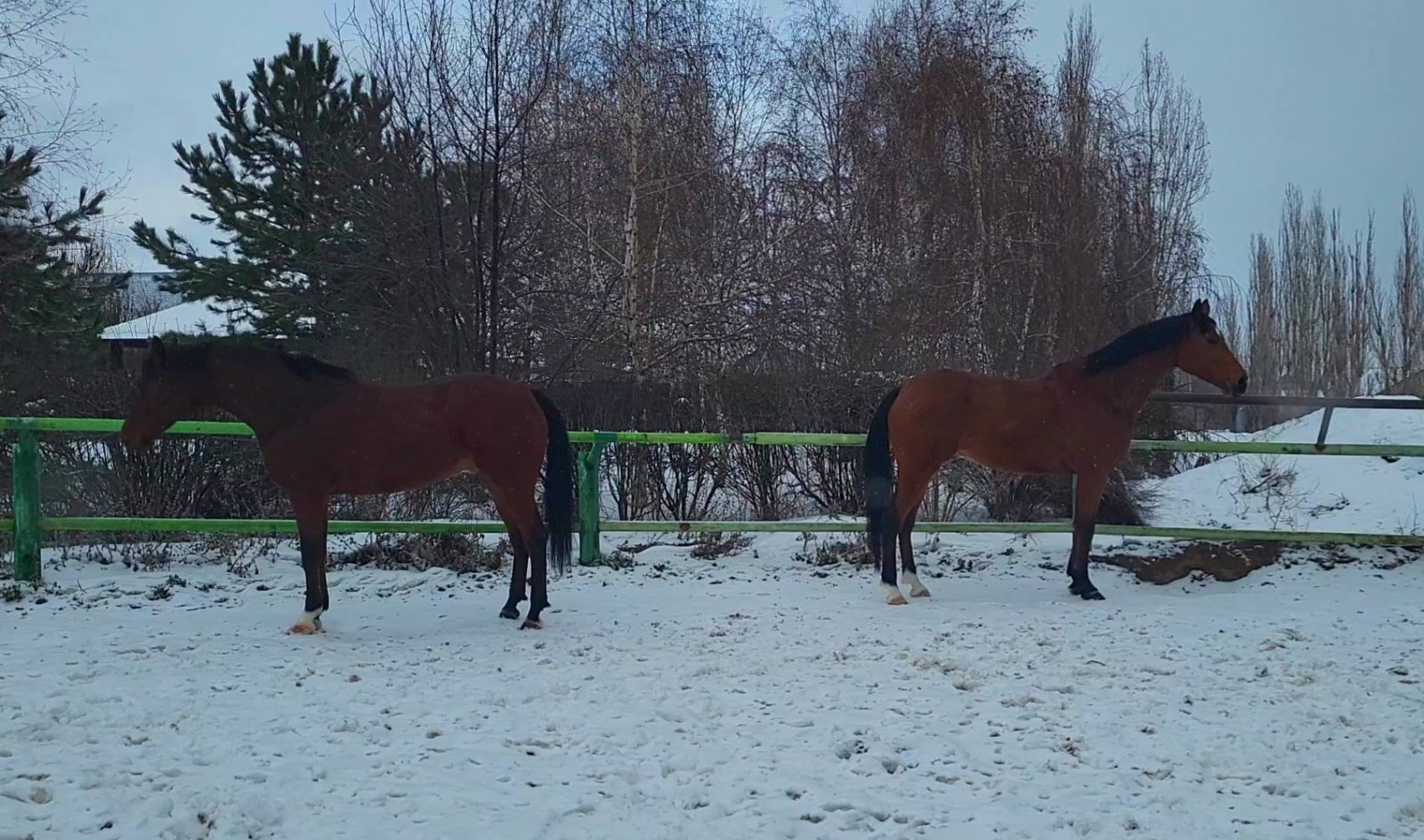 VideoCapture_20240126-114532.jpg