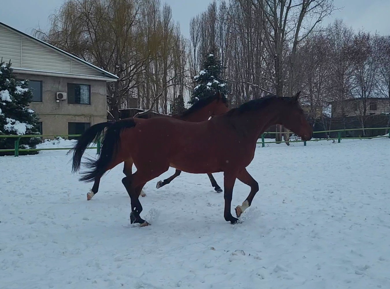 VideoCapture_20240126-132033.jpg