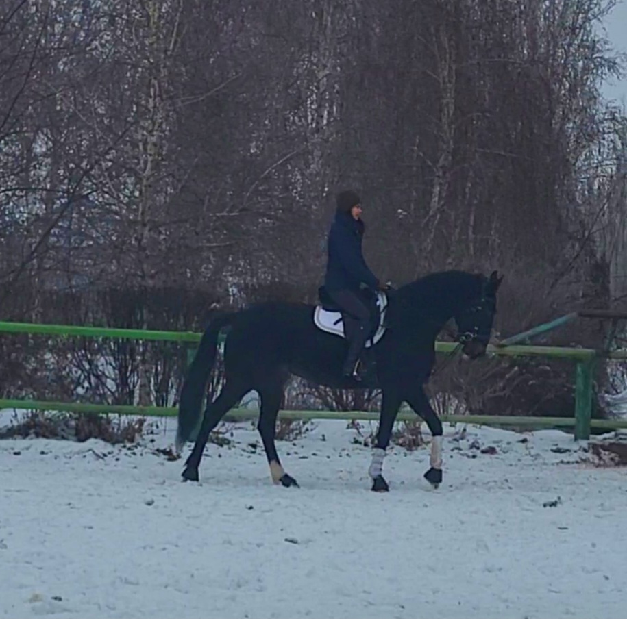VideoCapture_20240127-144442.jpg