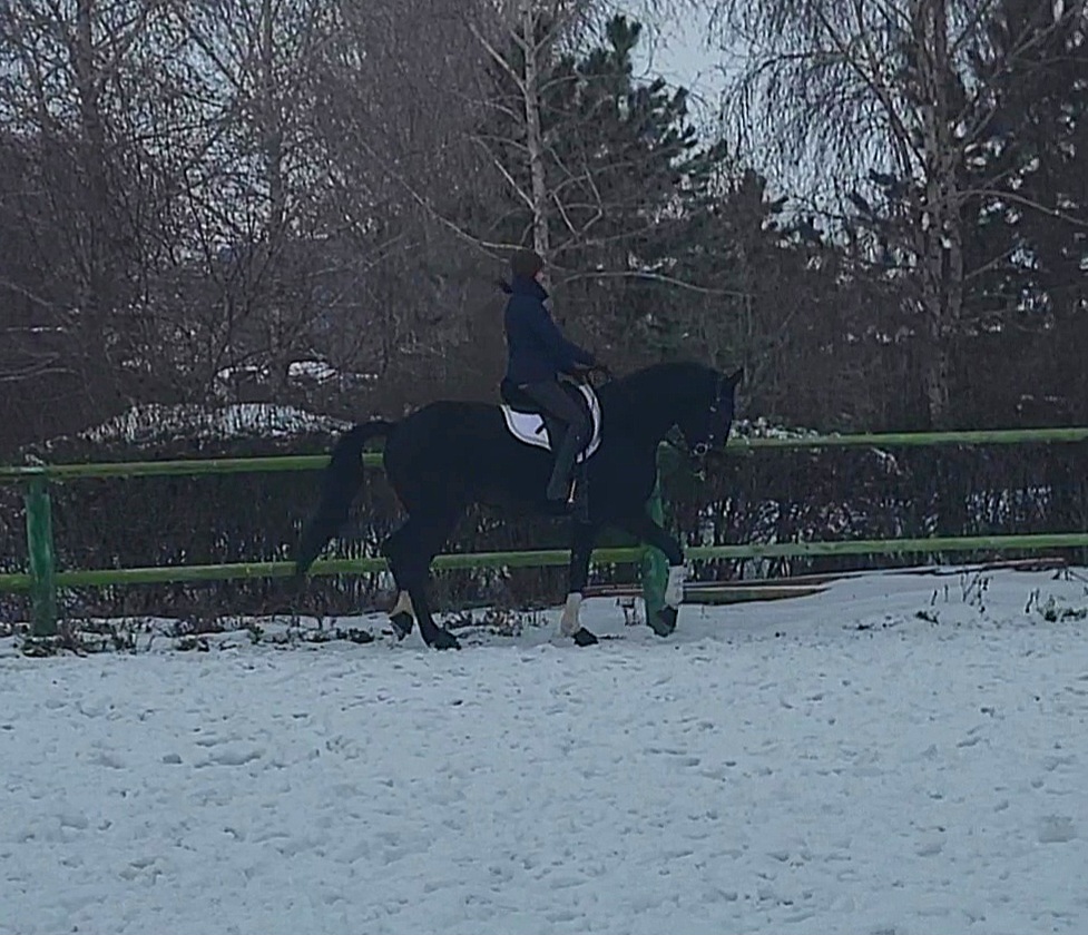VideoCapture_20240127-144745.jpg