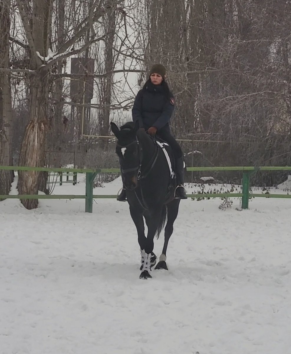 VideoCapture_20240127-145653.jpg