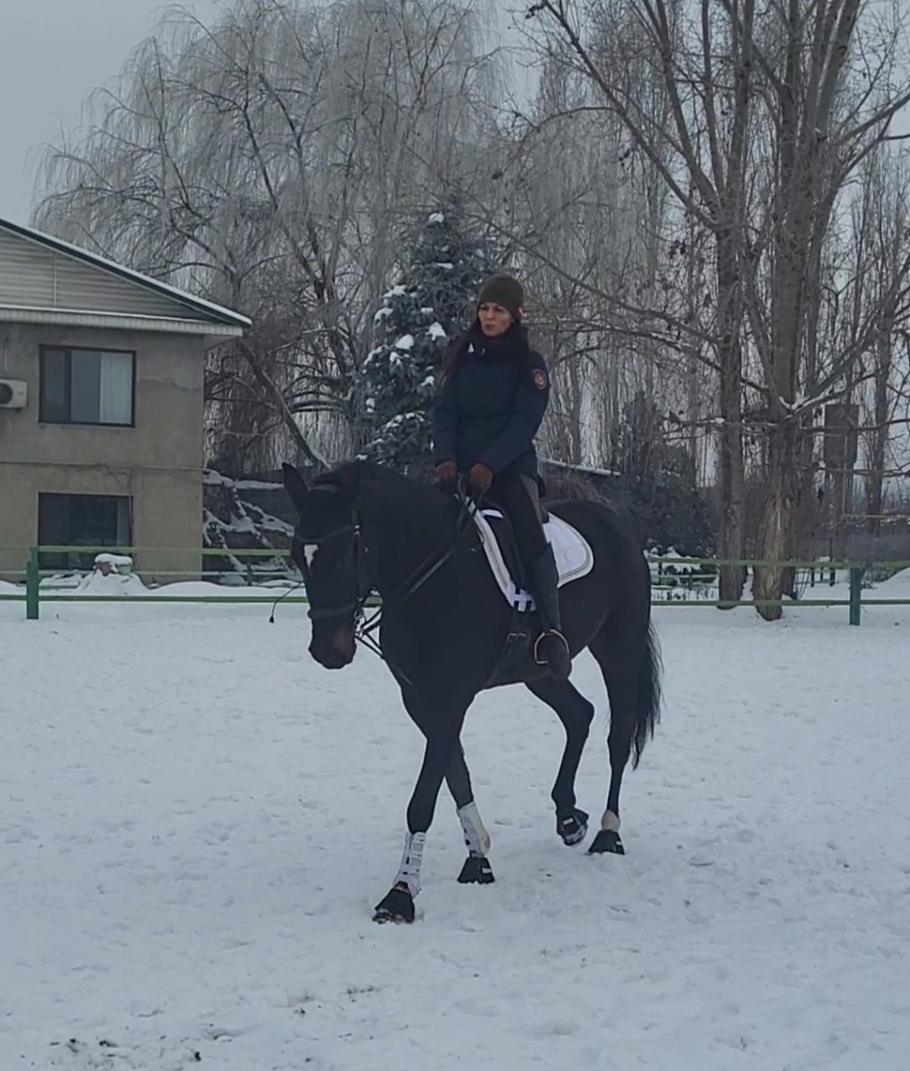 VideoCapture_20240127-145710.jpg