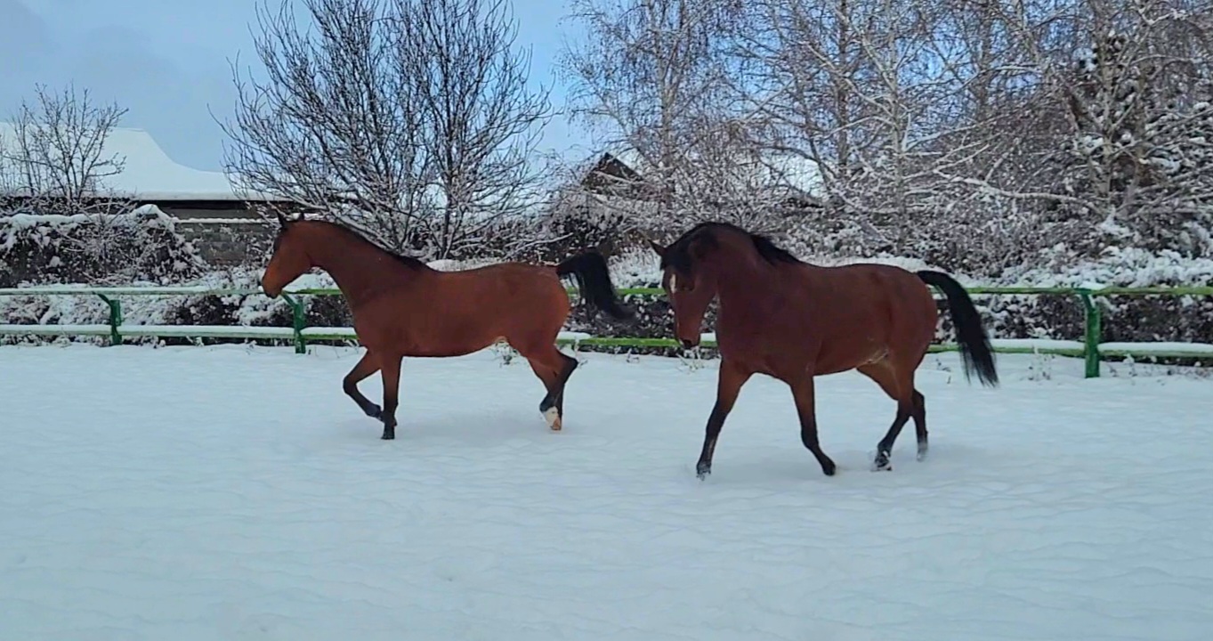 VideoCapture_20240202-104112.jpg