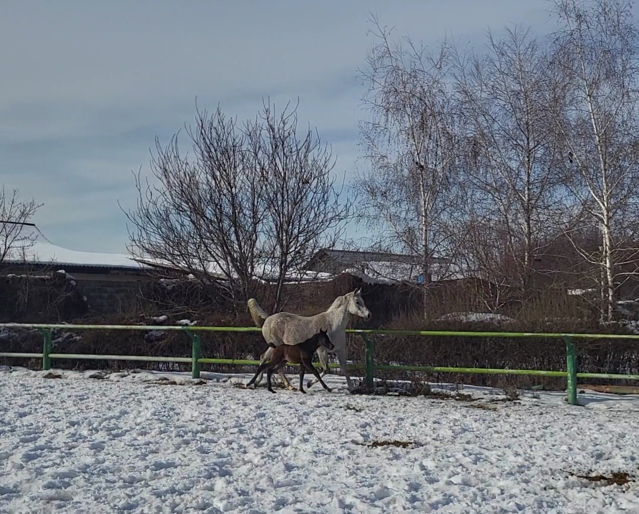 VideoCapture_20240207-081915.jpg