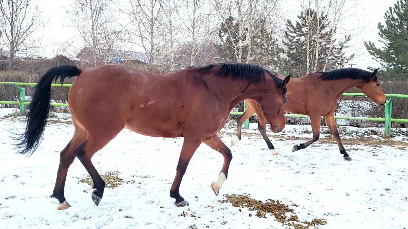 VideoCapture_20240215-144411.jpg